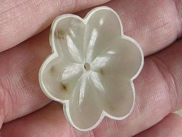 Flower  79 - (6336)